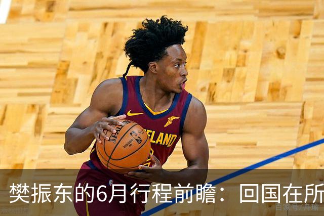 樊振东的6月行程前瞻：回国在所难免，他会与王励勤见面吗？